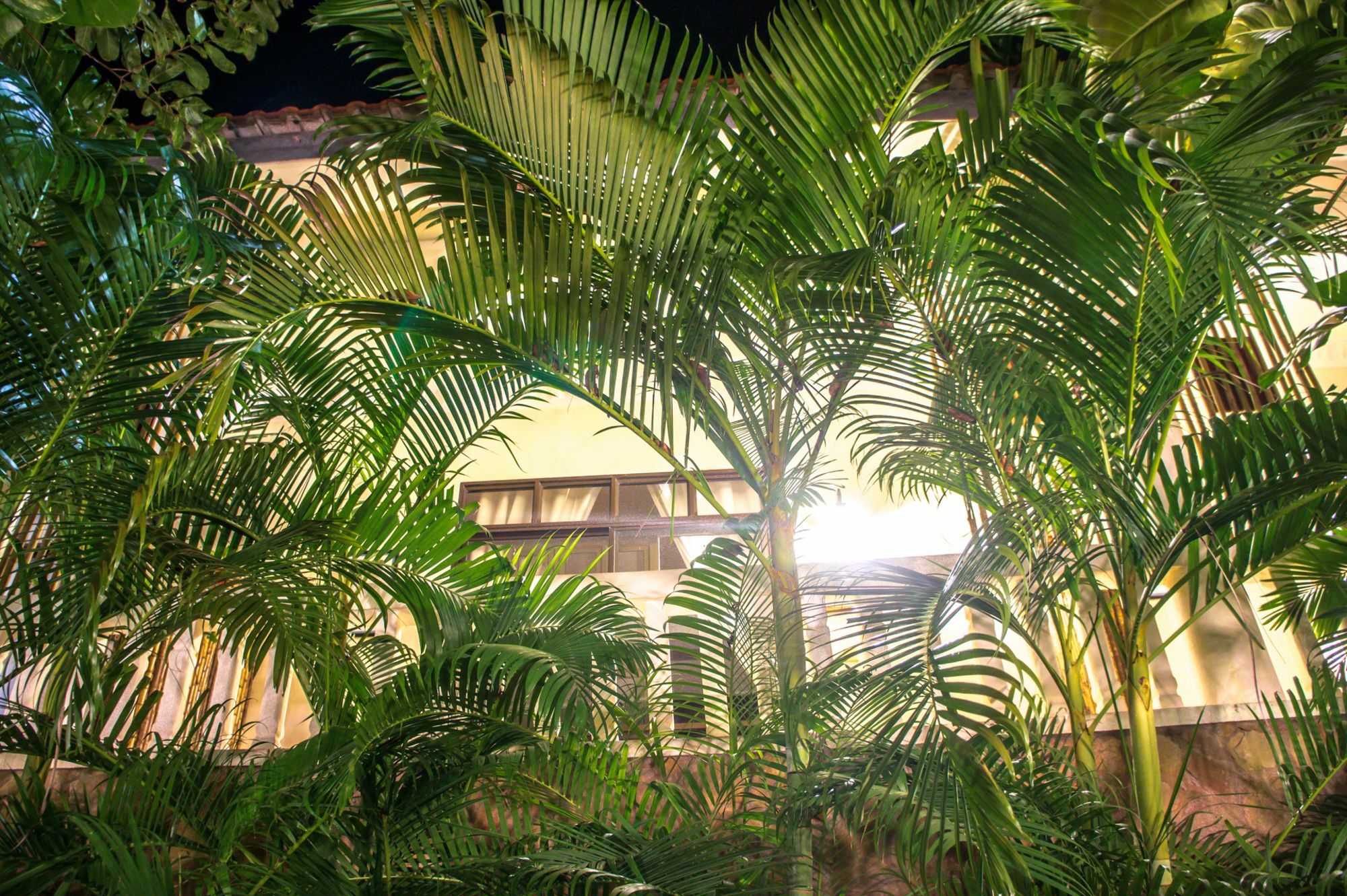 Hotel Tropical Hill Kep Cambodia Extérieur photo