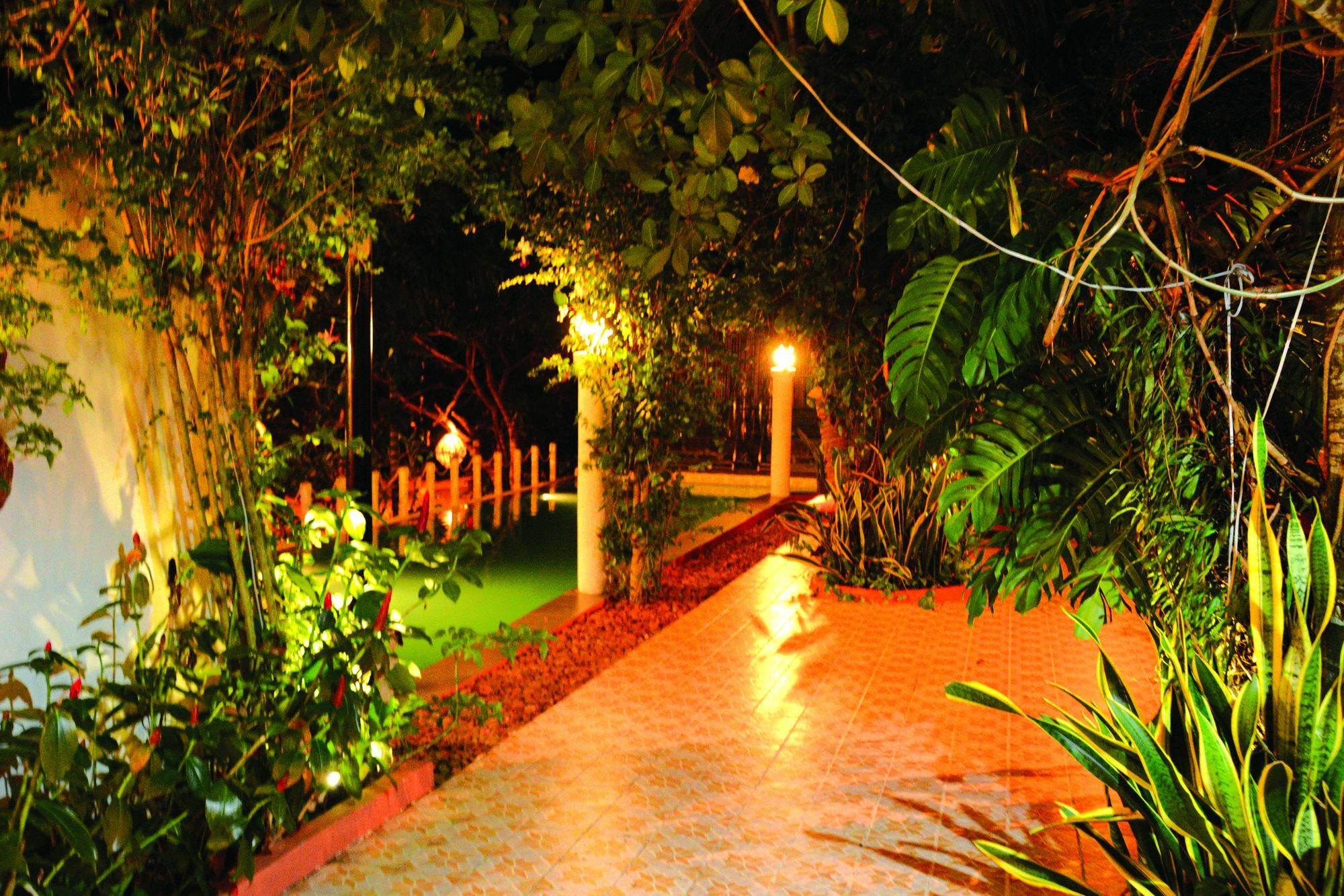 Hotel Tropical Hill Kep Cambodia Extérieur photo